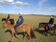 D-32 乗馬ライディング 日帰り