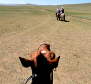 D-34 乗馬ライディング 2泊3日