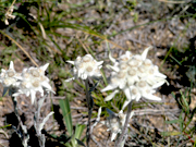 D-38 テレルジ国立公園 日帰り