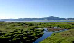 SD-604 ウランバートル郊外で釣り体験！１日