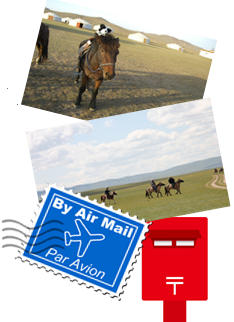 SD-777 モンゴル ポストカードセット