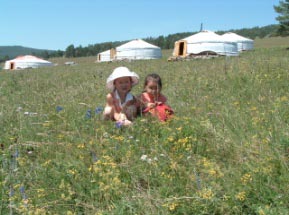 SA-828 フラワー･ウォッチングと野生馬･砂丘の休日 5･6日間